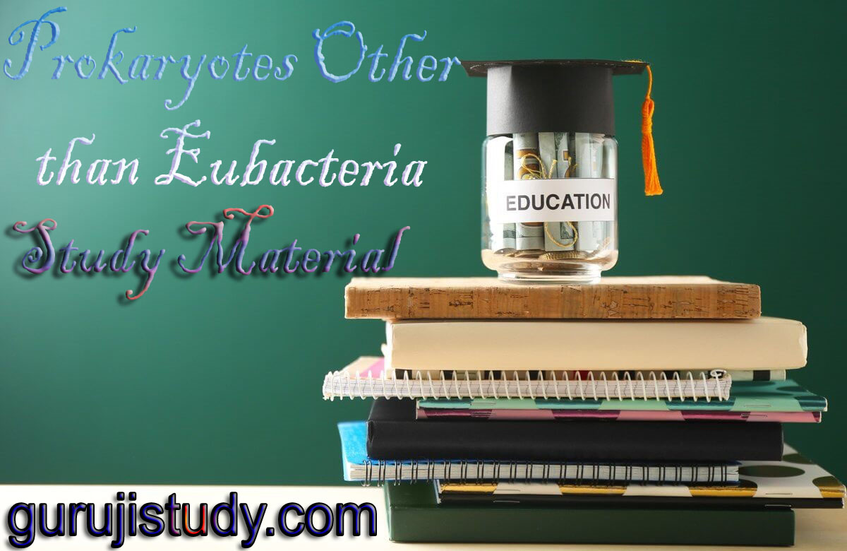 BSc Microbiology Prokaryotes Other than Eubacteria Notes Study Material